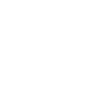 Artex International Logo